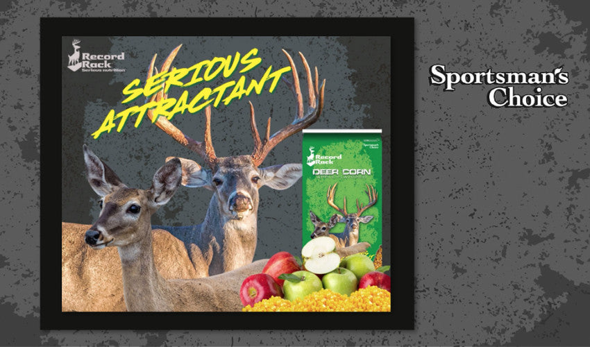 Making Sense of Attractants