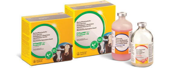 Boehringer Ingelheim Cattle Pyramid® + Presponse® SQ 10 Dose