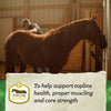 Nutrena® SafeChoice® Mare & Foal (50 Lbs)