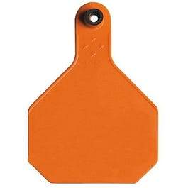 All American Livestock Tag, Blank, Large, Orange, 25-Pk.